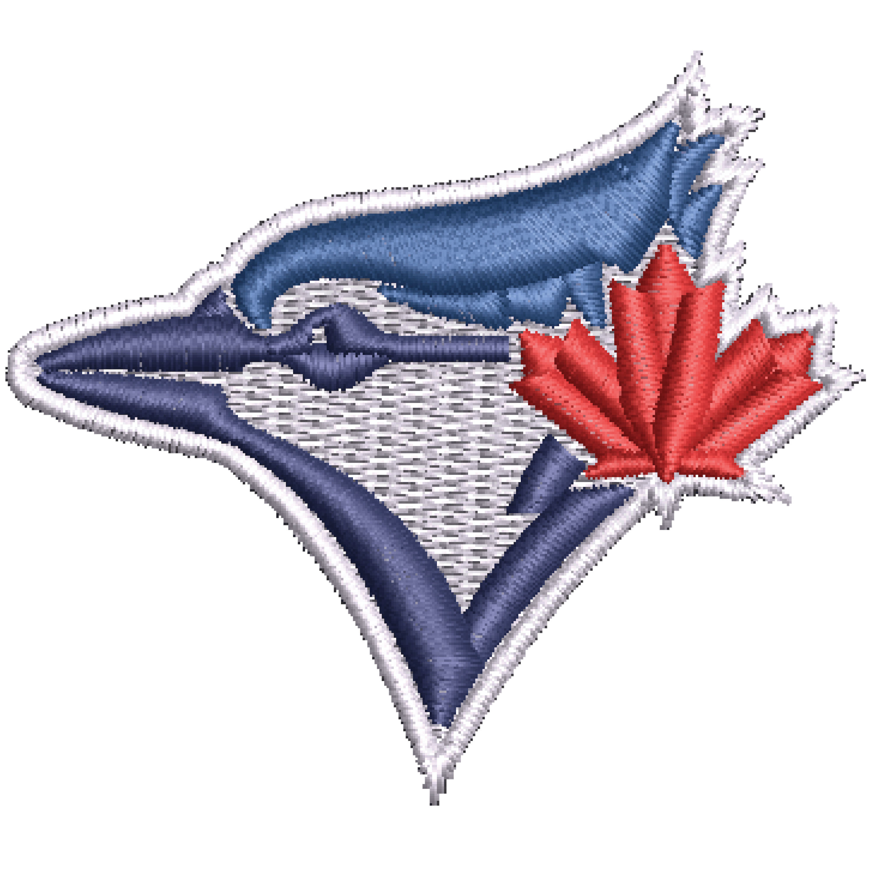 Toronto Blue Jays team